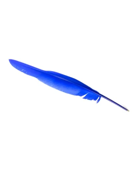 Νοσταλγικό στυλό φτερό, 37 cm - Schreibfeder, blau